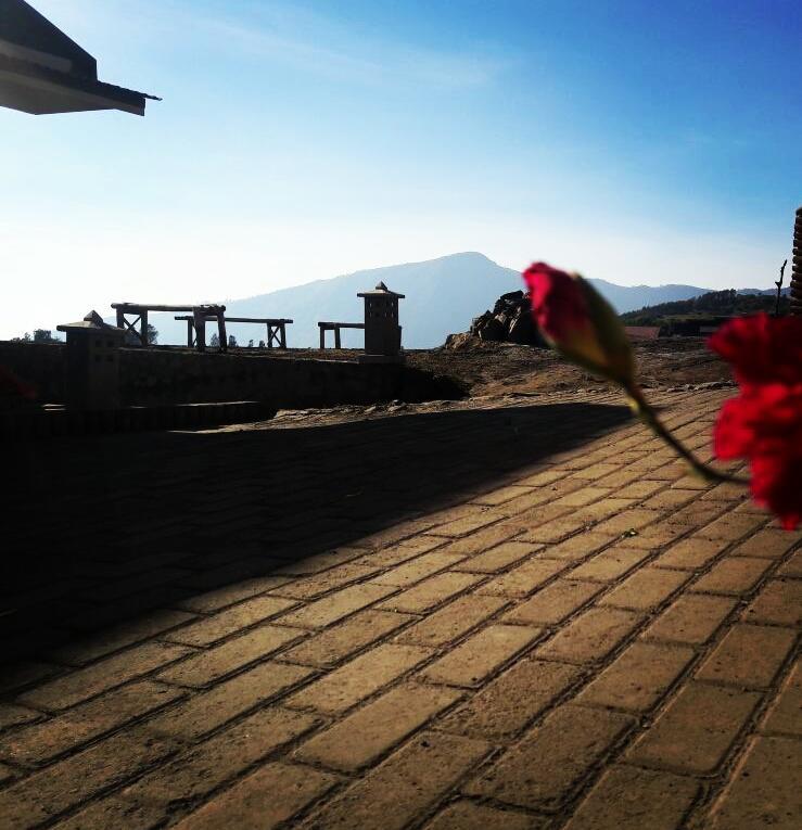 Bromo Otix Guest House ภายนอก รูปภาพ