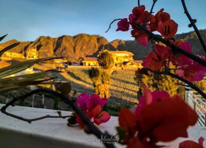 Bromo Otix Guest House ภายนอก รูปภาพ